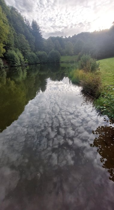 Ein See in einer Rhöner Wiesenlandschaft. Links und im Hintergrund stehen dicht beieinander viele Bäume, der Himmel ist bewölkt und spiegelt sich im Wasser wider.